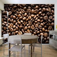 ARTGEIST Fototapete Roasted coffee beans cm 250x193 