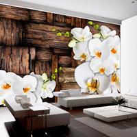 ARTGEIST Fototapete Blooming orchids cm 350x245 