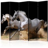 ARTGEIST 5teiliges Paravent Galloping horses cm 225x172 