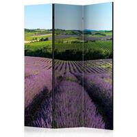 ARTGEIST 3teiliges Paravent Lavender fields cm 135x172 