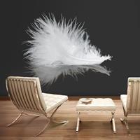 ARTGEIST Fototapete White feather cm 300x231 