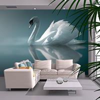 ARTGEIST Fototapete Weißer Schwan cm 250x193 