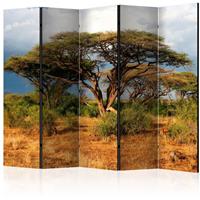 ARTGEIST 5teiliges Paravent Samburu National cm 225x172 