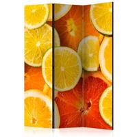 ARTGEIST 3teiliges Paravent Citrus fruits Ro cm 135x172 