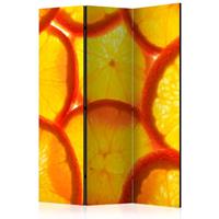 ARTGEIST 3teiliges Paravent Orange slices Ro cm 135x172 