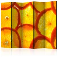 ARTGEIST 5teiliges Paravent Orange slices II cm 225x172 