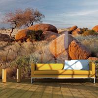 ARTGEIST Fototapete Afrikanische Aussichten N cm 350x270 