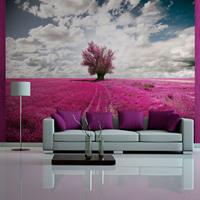 ARTGEIST Fototapete Magentafarbene Wiese cm 250x193 