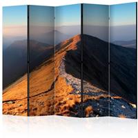 ARTGEIST 5teiliges Paravent Mountain footpath cm 225x172 