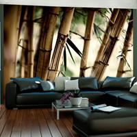 ARTGEIST Fototapete Fog and bamboo forest cm 250x193 
