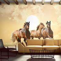 ARTGEIST Fototapete Pferde im Galopp cm 250x193 