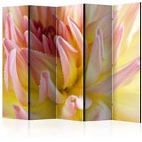 ARTGEIST 5teiliges Paravent Pastel colored da cm 225x172 