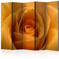 ARTGEIST 5teiliges Paravent Yellow rose a cm 225x172 