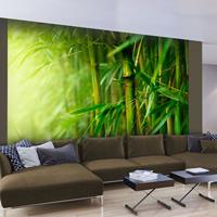 ARTGEIST Fototapete Dschungel Bambus cm 300x231 