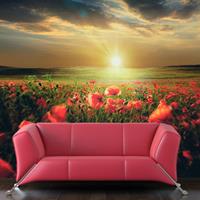 ARTGEIST Fototapete Morning on the poppy meado cm 200x154 