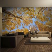 ARTGEIST Fototapete Autumnal treetops cm 300x231 