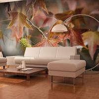 ARTGEIST Fototapete Chestnut cm 300x231 