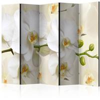 ARTGEIST 5teiliges Paravent Orchid Branch II cm 225x172 