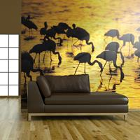 ARTGEIST Fototapete Kenia Flamingos am Nakur cm 250x193 