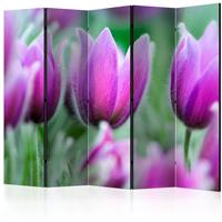 ARTGEIST 5teiliges Paravent Purple spring tul cm 225x172 