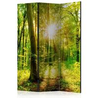 ARTGEIST 3teiliges Paravent Forest Rays Room cm 135x172 