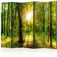 ARTGEIST 5teiliges Paravent Forest Rays II R cm 225x172 
