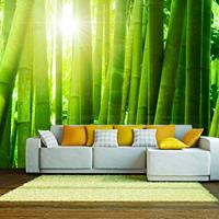 ARTGEIST Fototapete Sonne und Bambus cm 300x231 