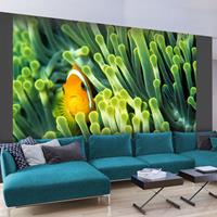 ARTGEIST Fototapete Anemonefish cm 300x231 