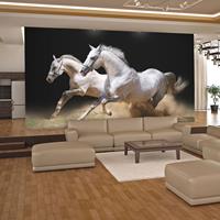 ARTGEIST Fototapete Ein Galopp im Sand cm 250x193 