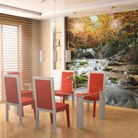 ARTGEIST Fototapete Herbst Wasserfall cm 250x193 