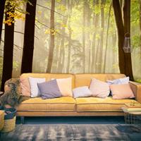 ARTGEIST Fototapete Mysterious forest path cm 250x193 