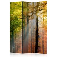 ARTGEIST 3teiliges Paravent Forest Colours R cm 135x172 