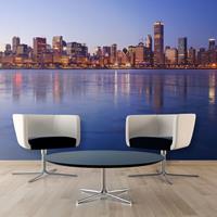 ARTGEIST Fototapete Icy Downtown Chicago cm 300x231 