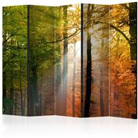 ARTGEIST 5teiliges Paravent Forest Colours II cm 225x172 