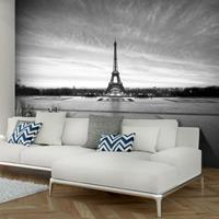 ARTGEIST Fototapete The Iron Lady cm 250x193 