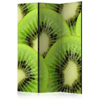 ARTGEIST 3teiliges Paravent Kiwi slices Room cm 135x172 