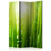 ARTGEIST 3teiliges Paravent Sun and bamboo R cm 135x172 