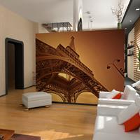 ARTGEIST Fototapete Die Macht von Paris cm 250x193 