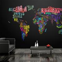 ARTGEIST Fototapete Bunte Reisen cm 350x270 