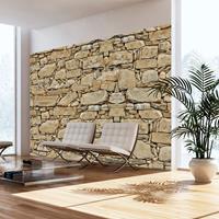 ARTGEIST Fototapete Stone wall cm 300x210 