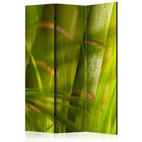 ARTGEIST 3teiliges Paravent bamboo nature z cm 135x172 