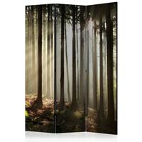 ARTGEIST 3teiliges Paravent Coniferous forest cm 135x172 