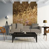 ARTGEIST Fototapete Awakening ceral field cm 350x270 