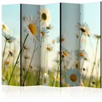 ARTGEIST 5teiliges Paravent Daisies spring cm 225x172 