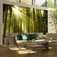 ARTGEIST Fototapete Kiefernwald cm 300x231 