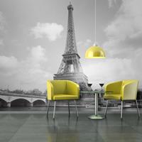 ARTGEIST Fototapete Seine und Eiffelturm cm 300x231 