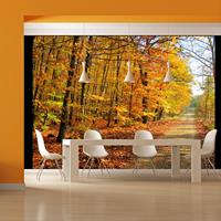 ARTGEIST Fototapete Beech forest cm 300x231 