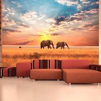 ARTGEIST Fototapete Zwei Elefanten in der afri cm 300x231 