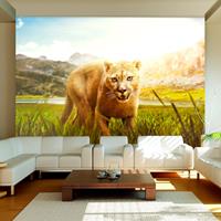 ARTGEIST Fototapete Watch out cm 350x245 