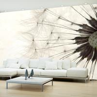 ARTGEIST Fototapete White Dandelion cm 350x245 